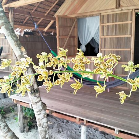 Mambetron Homestay Raja Ampat Pulau Mansuar Luaran gambar