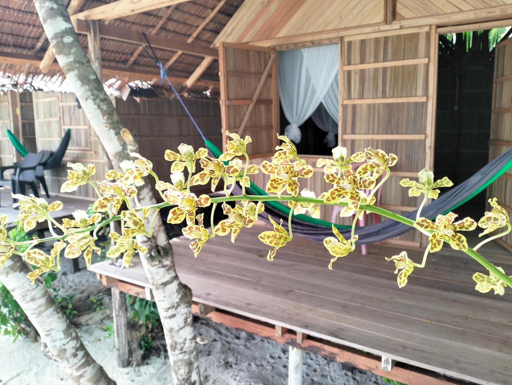 Mambetron Homestay Raja Ampat Pulau Mansuar Luaran gambar