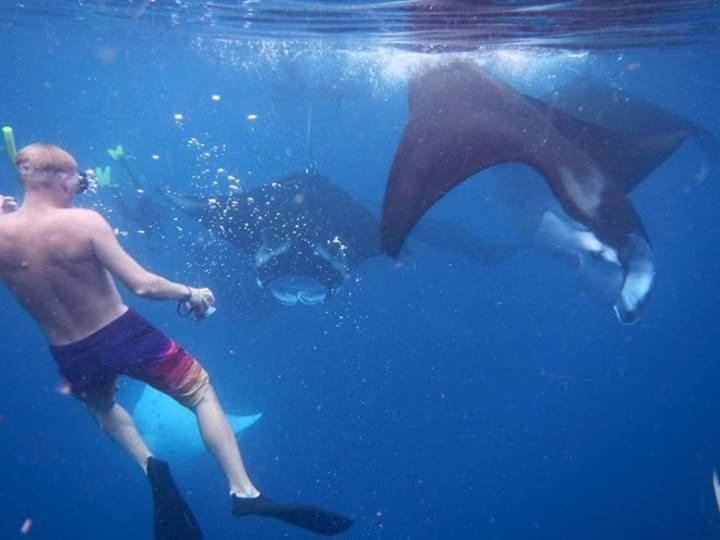 Mambetron Homestay Raja Ampat Pulau Mansuar Luaran gambar