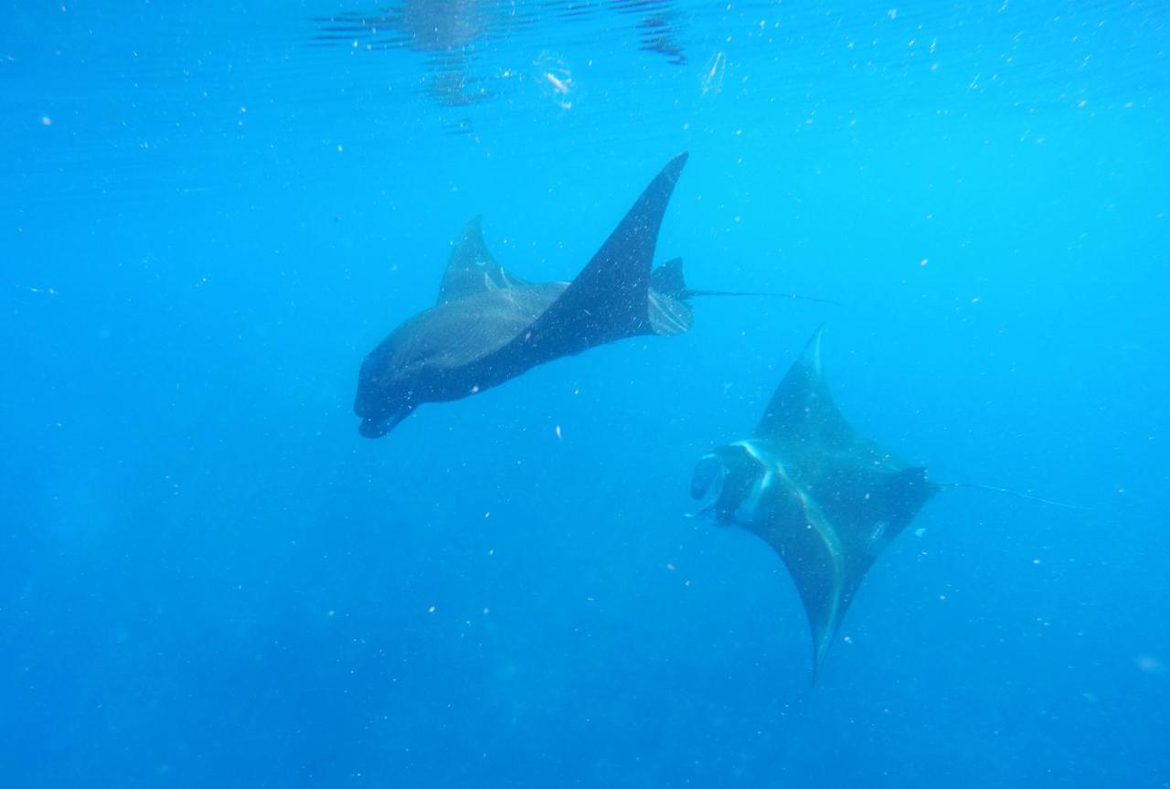 Mambetron Homestay Raja Ampat Pulau Mansuar Luaran gambar